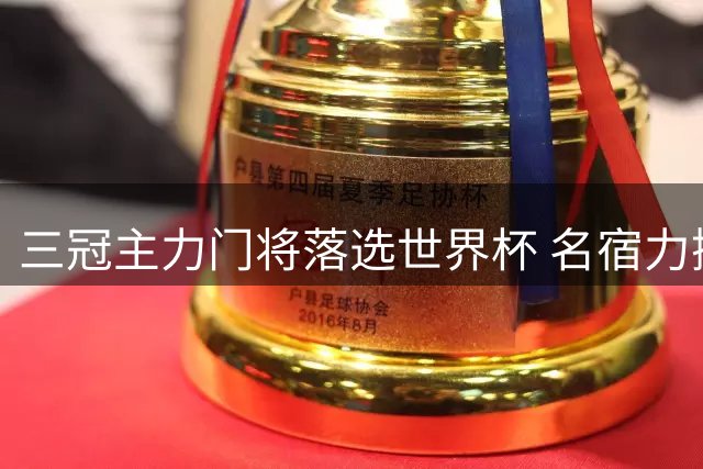 三冠主力门将落选世界杯 名宿力挺其为英超最佳